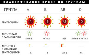 Узнать свою группу крoви