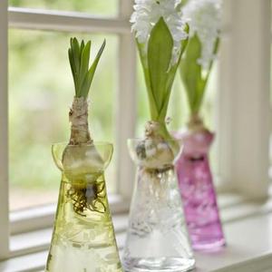 Cox & Cox Three Hyacinth Bulb Vases