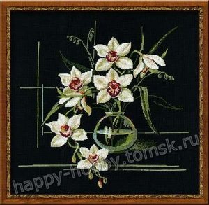 "Белая орхидея" Риолис