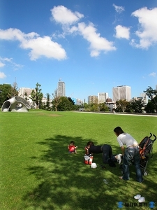 вернуться в Японию