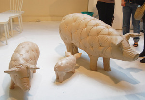 tufted pigs