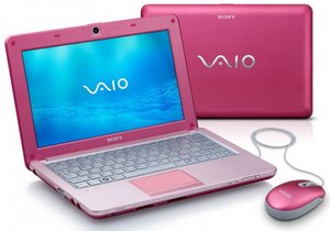 Нетбук Sony Vaio VPC-W11S1R/P