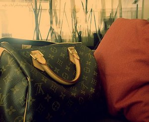 Louis Vuitton Speedy 25