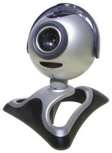 веб-камера и микрофон