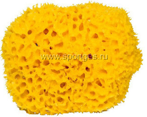 Морская губка Honeycomb (медовые соты)