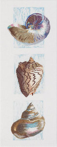 Three Shells