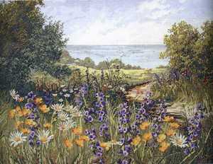 Cliff Top Footpath