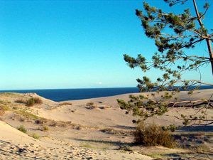 съездить в Калининград и на Куршскую Косу