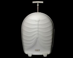 Хочу чемодан Samsonite by A. McQueen
