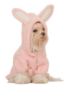 Моей Джессике