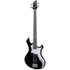 Bass ESP