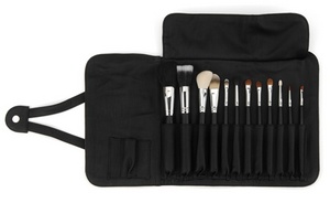 Premium Professional Kit with Brush Roll