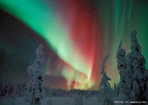 Посмотреть на северное сияние