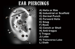 K) transverse lobe