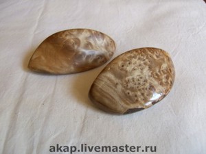 заколка "Жар-птица"