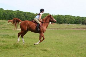 To ride a horse