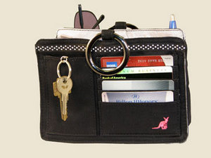 Purse organizer