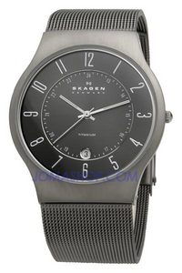 Skagen Titanium Mesh Mens Watch 233XLTTM