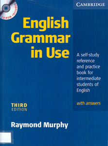 English grammar in use