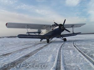 Научиться водить самолет. Хоть самый маааленький