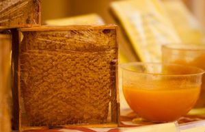 Ярмарка мёда