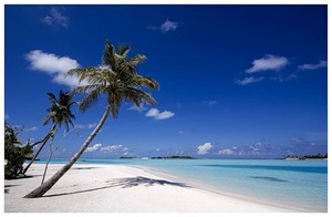 поездка на море на выходные