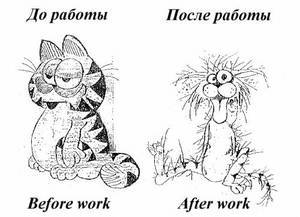 чтобы ромка нашел работу