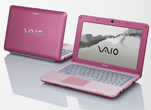 sony vaio W