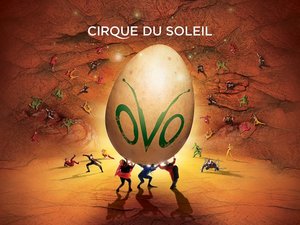 билет на представление OVO Cirque du Soleil.