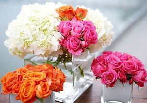 букет разноцветных роз)))