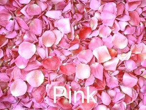 Biodegradable Premium Freeze Dried Rose Petals Pink