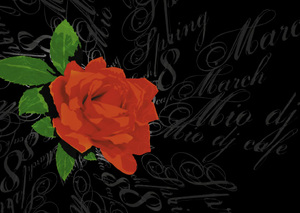 Открытка Fly