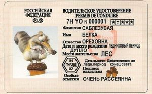 водительские права
