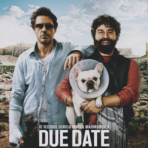 Due Date
