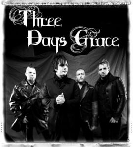 Сходить на концерт Three Days Grace *_*