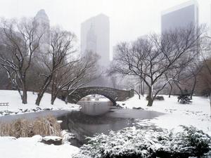 New York in winter