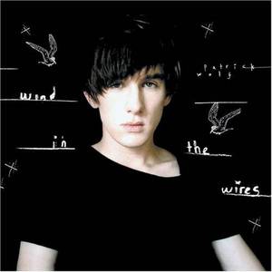 Patrick Wolf. Wind in The Wires (2005).