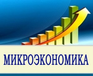 реферат по микроэкономике