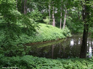 В Ясную Поляну