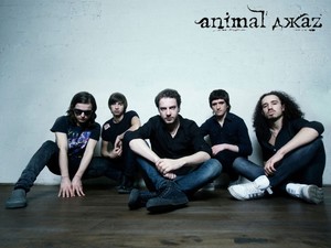 на концерт Animal Джаz