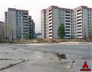 уикэнд в Чернобыле