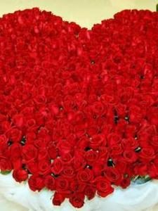 миллион  ярко-красных роз и одну ярко-розовую