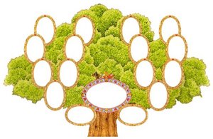 Узнать свою родословную+составить генеалогическое древо