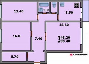 3комн.квартира в П-46 8под.