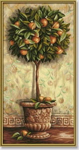 Раскраска ’’Апельсиновое дерево’’