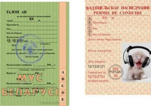 водительские права