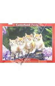 "Puzzle-1000. Четыре котенка