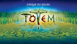 Хочу увидеть выступление Cirque du Soleil!