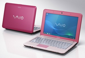 Sony VAIO VPC-M13M1R / P