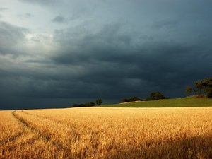 Оказаться в поле во время грозы